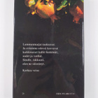 Jörg Zink : Rakkauden tie - pikkukuva 2