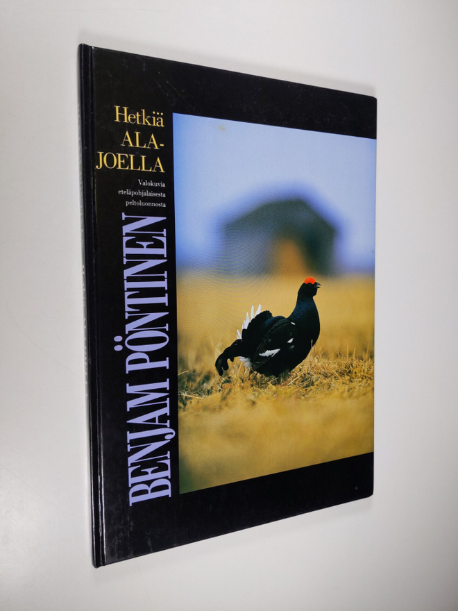 Benjam Pöntinen : Hetkiä Alajoella : valokuvia eteläpohja...
