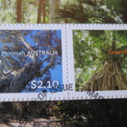 Australia 2015: Australian puita -kuori - pikkukuva 5