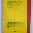 Antero Viljanen : Leikki kaukana - pikkukuva 2