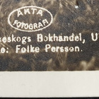 Vanha ruotsalainen kortti Ajokoira (Stövare) loisto! - pikkukuva 4