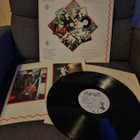 Stray Cats - pikkukuva 2