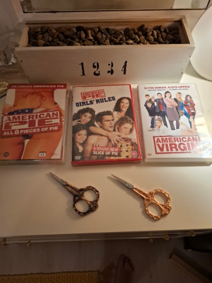 American Pie 1-9+American Virgin (10-Dvd)