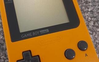 Nintendo Game Boy Gameboy Pocket