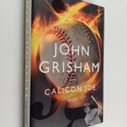 John Grisham : Calicon Joe - pikkukuva 1