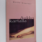 Belen Gopegui : Aukko kartalla - pikkukuva 1