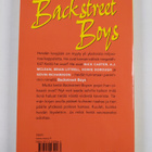 Michael-Anne Johns : Backstreet Boys : meidän tarinamme - pikkukuva 2