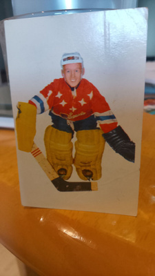 Champion-66 jääkiekko Tapani salo,Hermes!