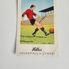 Jalkapallo-jenkki kuvat 26 ja 28 (17414/15) Jenkki - pikkukuva 3