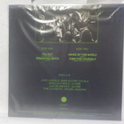 RADUX - DISASTER IMMINENT M-/M- LP - pikkukuva 2