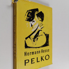 Hermann Hesse : Pelko - pikkukuva 1