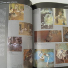Orsay museo opas A fuller understanding of paintings at - pikkukuva 5