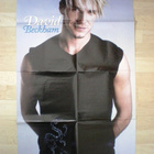 David Beckham / Ryan Philippe & Reynard - pikkukuva 1