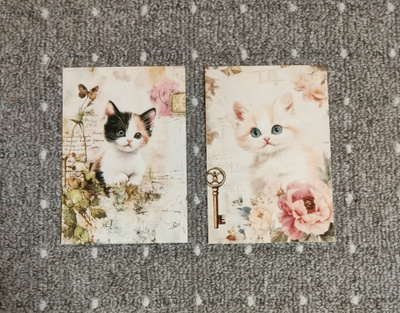 ~Kissa kortti~ 2kpl