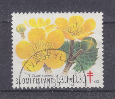 1983 TUB 1,3 mk loistoleimaisena.