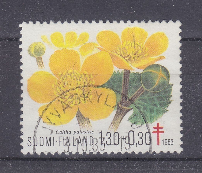 1983 TUB 1,3 mk loistoleimaisena.