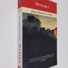 Juan Manuel de Prada : Myrsky - pikkukuva 1