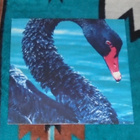 THE TRIFFIDS Present The Black Swan ~ LP - pikkukuva 3