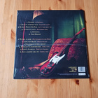 Topi Sorsakoski – Evergreens lp 2021 Uusi, Sealed - pikkukuva 2