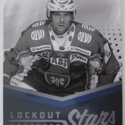 Cardset 2013-14 Lockout Stars kortteja - pikkukuva 2