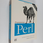 Larry Wall : Programming Perl - pikkukuva 1