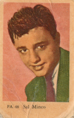 Purkkakuva PA n:o 48 SAL MINEO