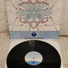 Spectral Skunk Flashback 12"EP - pikkukuva 1