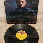 Curtis Mayfield Never Say You Can't Survive lp - pikkukuva 1