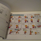 It's A Magical World: A Calvin and Hobbes collection - pikkukuva 3