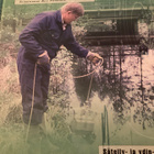 ROY PÖLLÄNEN: SÄTEILY YMPÄRISTÖSSÄ - pikkukuva 1