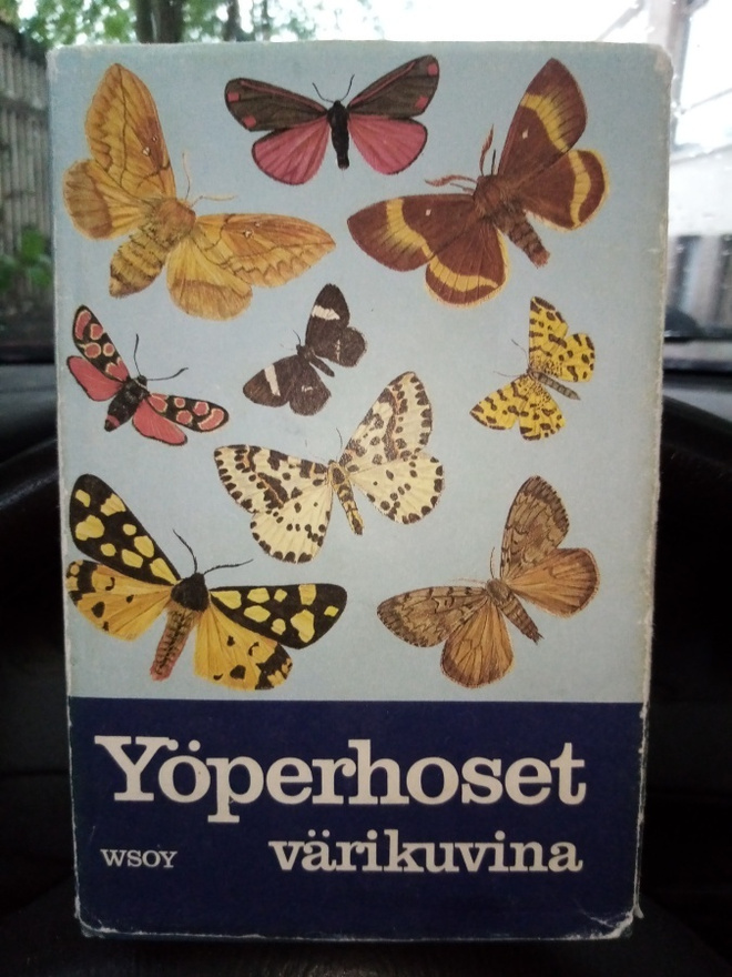 LYNEBORG : YÖPERHOSET VÄRIKUVINA ( SIS POSTIKULU )