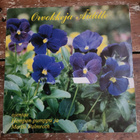 Hempan Pumppu ja M. Palmroth- Orvokkeja Äidille Lp (EX-/VG+) - pikkukuva 1