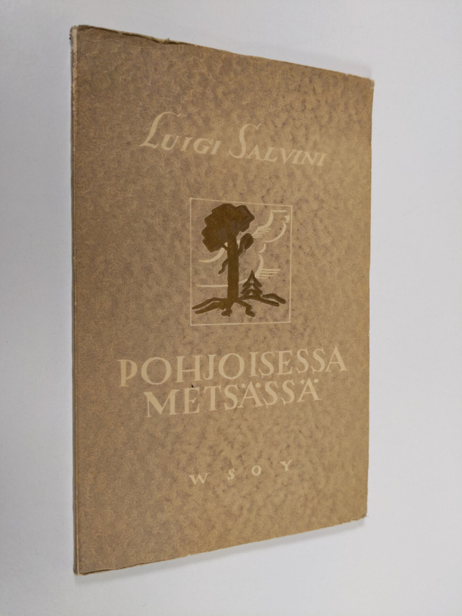 Luigi Salvini : Pohjoisessa metsässä (numeroitu)