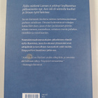 Antti Tuuri : Aavan meren tuolla puolen : romaani - pikkukuva 2