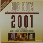 Various • Big Hits • Die Hits Des Jahres 2001 CD - pikkukuva 1