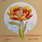 ANDERSEN - BESKOW: PEUKALO-LIISA - pikkukuva 1
