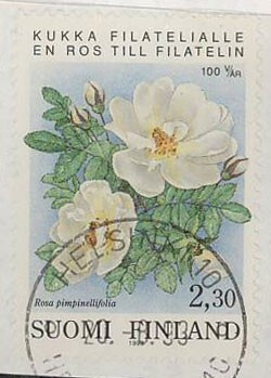 1993 kukka filatelialle loisto HELSINKI -93