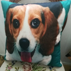 Beagle tyynynpäällinen - pikkukuva 1