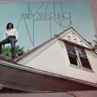 Andy Zwerling - Spiders in The Night LP 1971 - pikkukuva 1