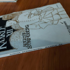 Kaksi August Strindbergin kirjaa - pikkukuva 5