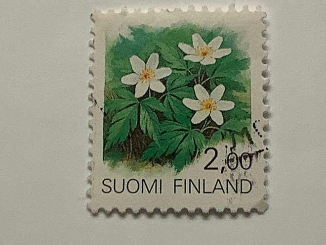 1097 / 1990 Valkovuokko o leimattu