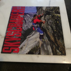 David Lee Roth Skyscraper - pikkukuva 1