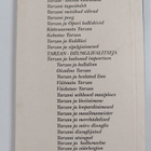 Edgar Rice Burroughs : Tarzan - Gzungelivalitseja - pikkukuva 2