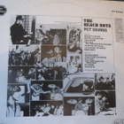 The Beach Boys: Pet Sounds LP - pikkukuva 2