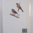 Clive Byers : Buntings and sparrows : a guide to the bunt... - pikkukuva 2