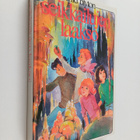 Enid Blyton : Seikkailujen laakso - pikkukuva 1
