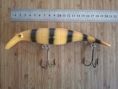 Swim Whizz n. 20cm