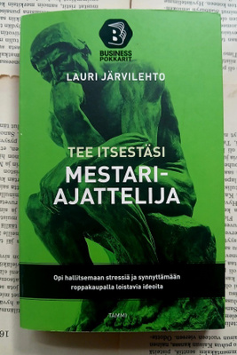 Lauri Järvilehto - Tee itsestäsi mestariajattelija (pokkari)