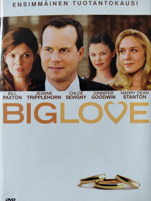 BIG LOVE 1. KAUSI DVD