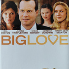 BIG LOVE 1. KAUSI DVD - pikkukuva 1